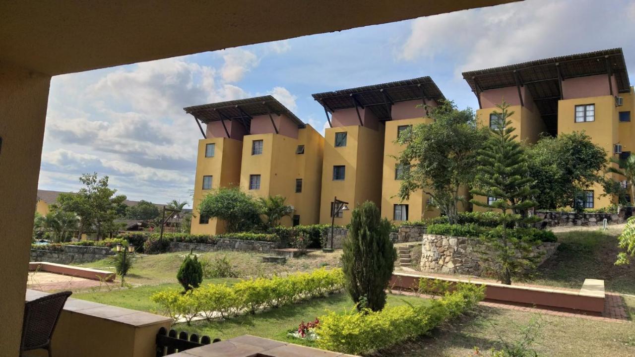 Winterville Flat 213 غرافاتا المظهر الخارجي الصورة