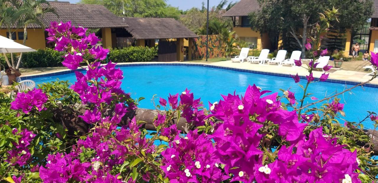 Winterville Flat 213 غرافاتا المظهر الخارجي الصورة