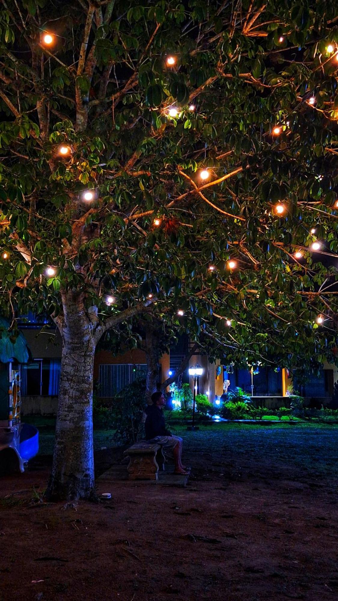 Winterville Flat 213 غرافاتا المظهر الخارجي الصورة